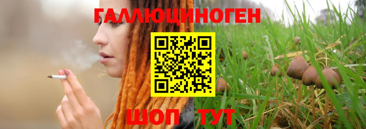 Костомукша  Псилоцибиновые грибы Cubensis  Вход с VPN 